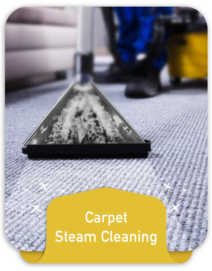 Carpet Steam Cleaning | Steam Cleaner | Carpet Steam Cleaner
